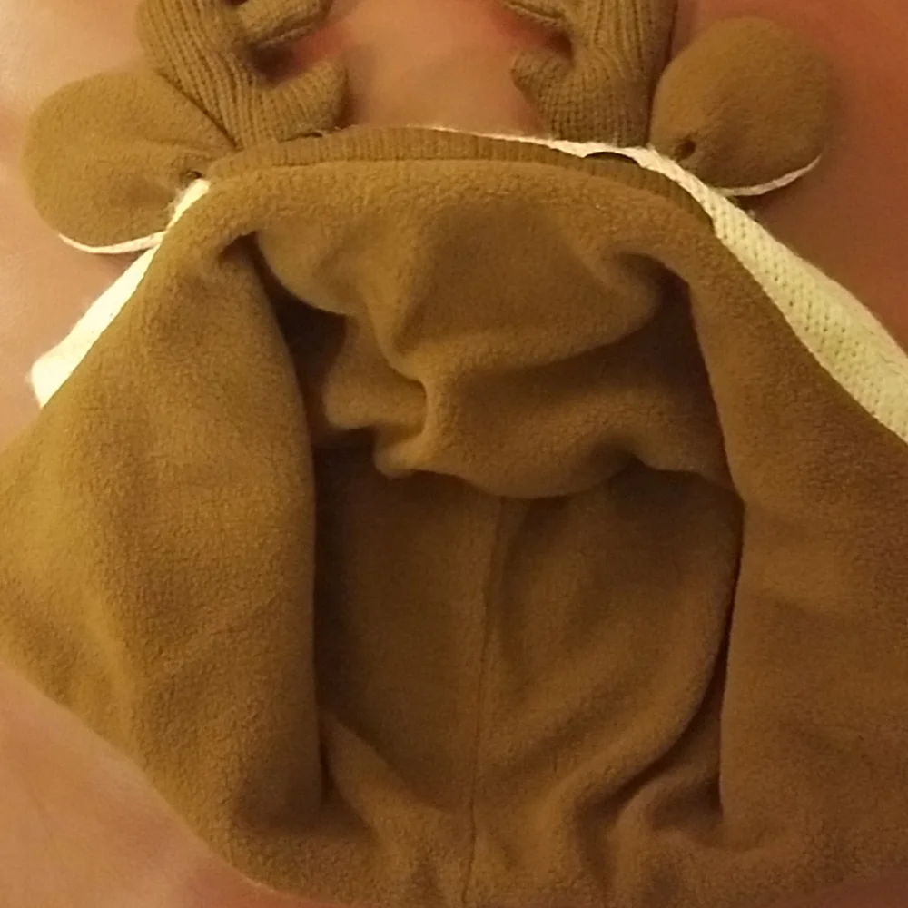 Moose winter hat, fits youth size preteen - teen.